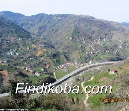 FINDIK, GÜBRE VE MAZOT DESTEKLEMELERİ.