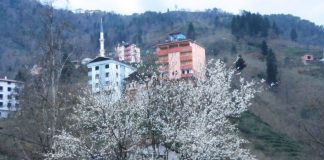 BAHAR ERKEN GELDİ.